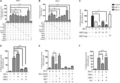 Hepatitis E Virus ORF2 Inhibits RIG-I Mediated Interferon Response